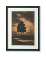 Chadlow - Wall Art - Brown / Black