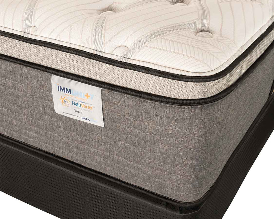 Immunity Sepia Copper Queen Mattress