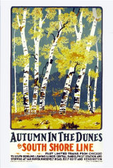 Autumn in the Dunes Birch Trees Poster