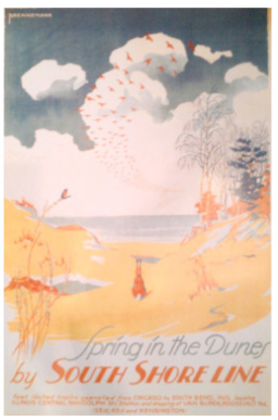 Spring in the Dunes: Bunny Poster