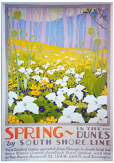 Spring in the Dunes: Trillium Poster