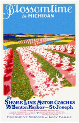 Blossomtime in Michigan Poster