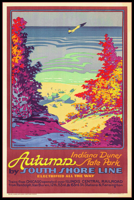 Autumn Indiana Dunes State Park Poster