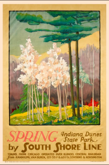 Spring Indiana Dunes State Park